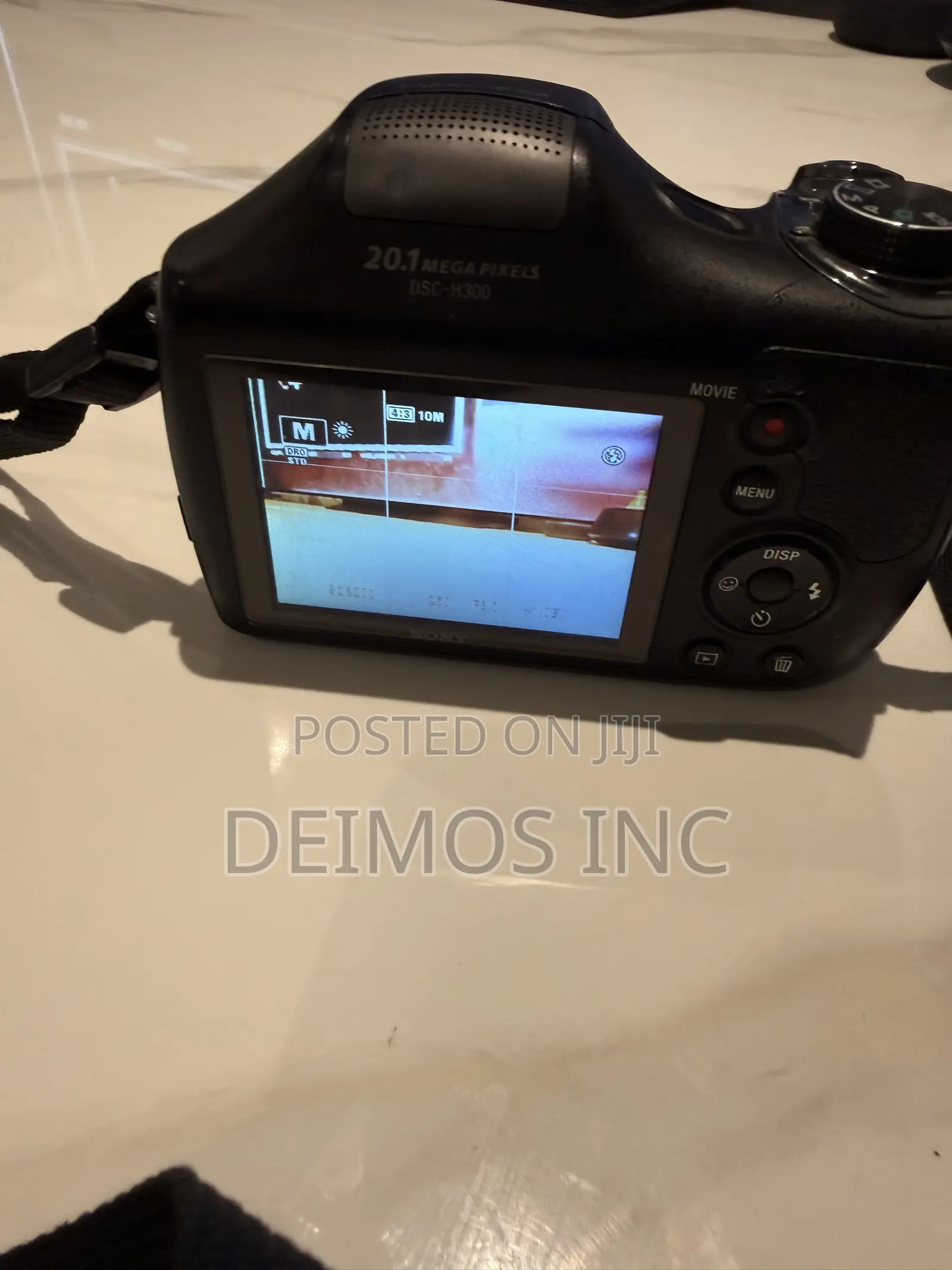 Sony Cyber-Shot DSC-H300 Digital Camera