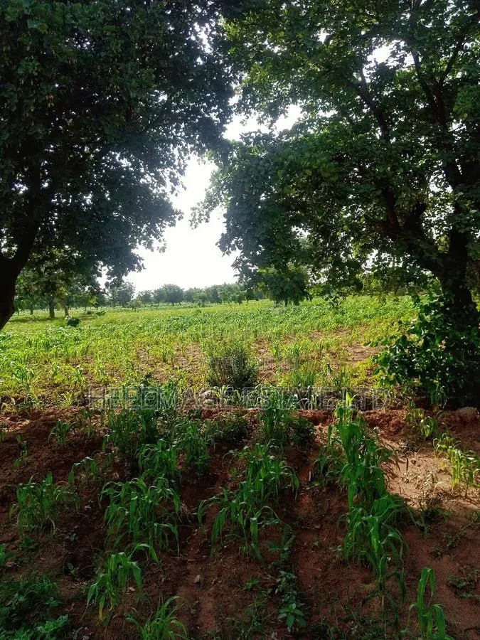 10hectares Multifunction Land in Paiko Kore Village Extension