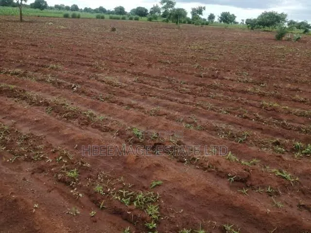 10hectares Multifunction Land in Paiko Kore Village Extension