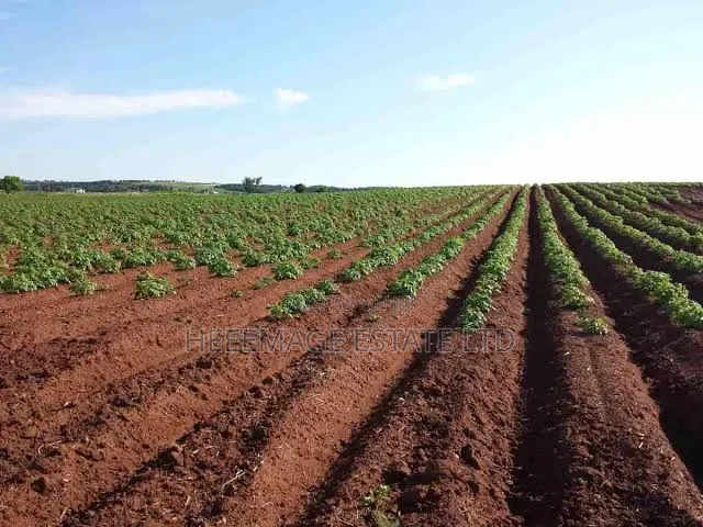 10hectares Multifunction Land in Paiko Kore Village Extension