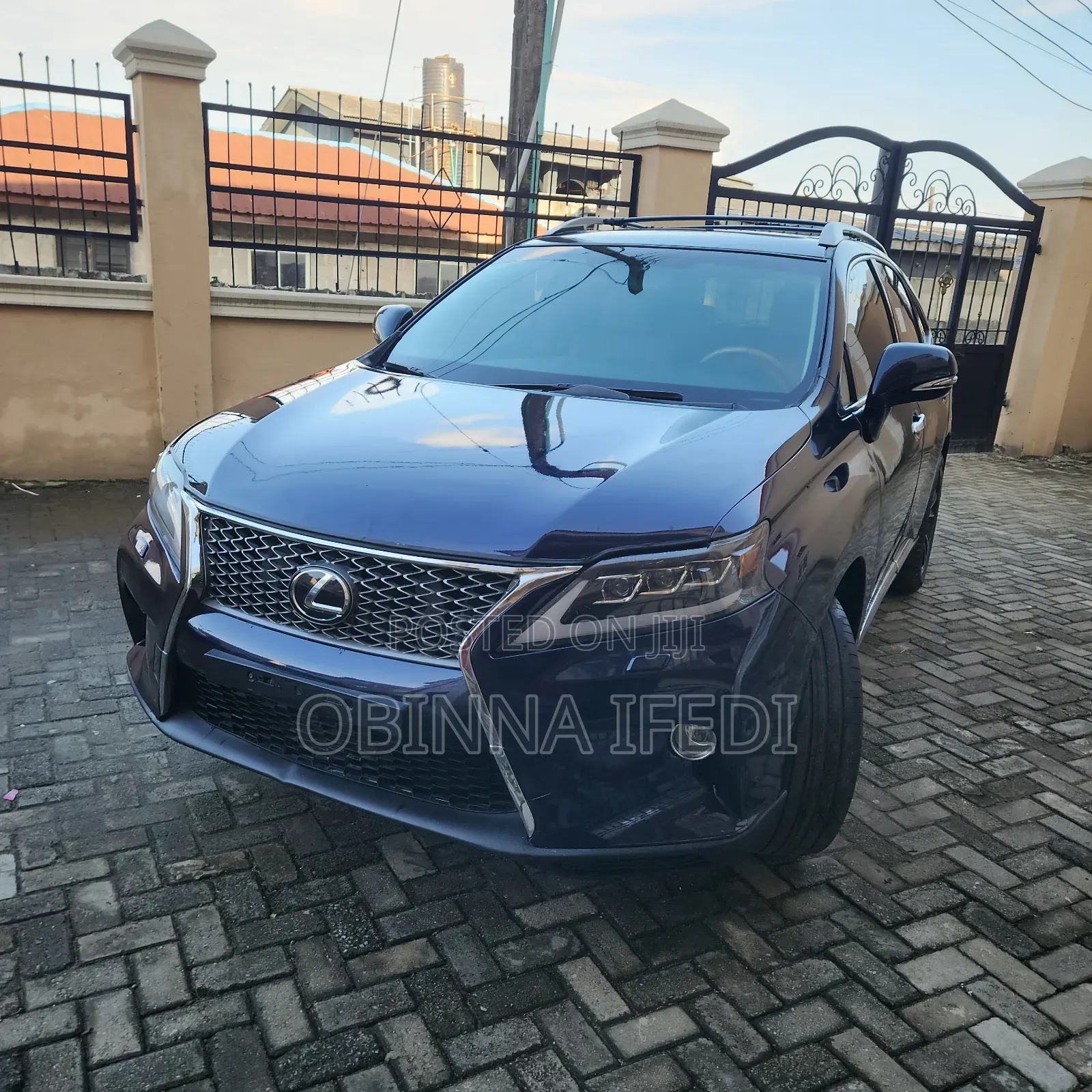 Lexus RX 2010 Blue