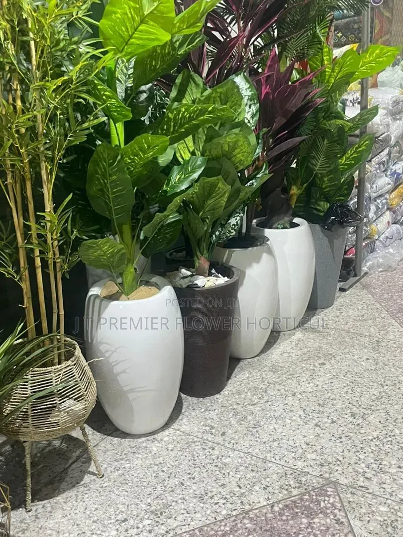 JT Premier Flower Garden Owerri