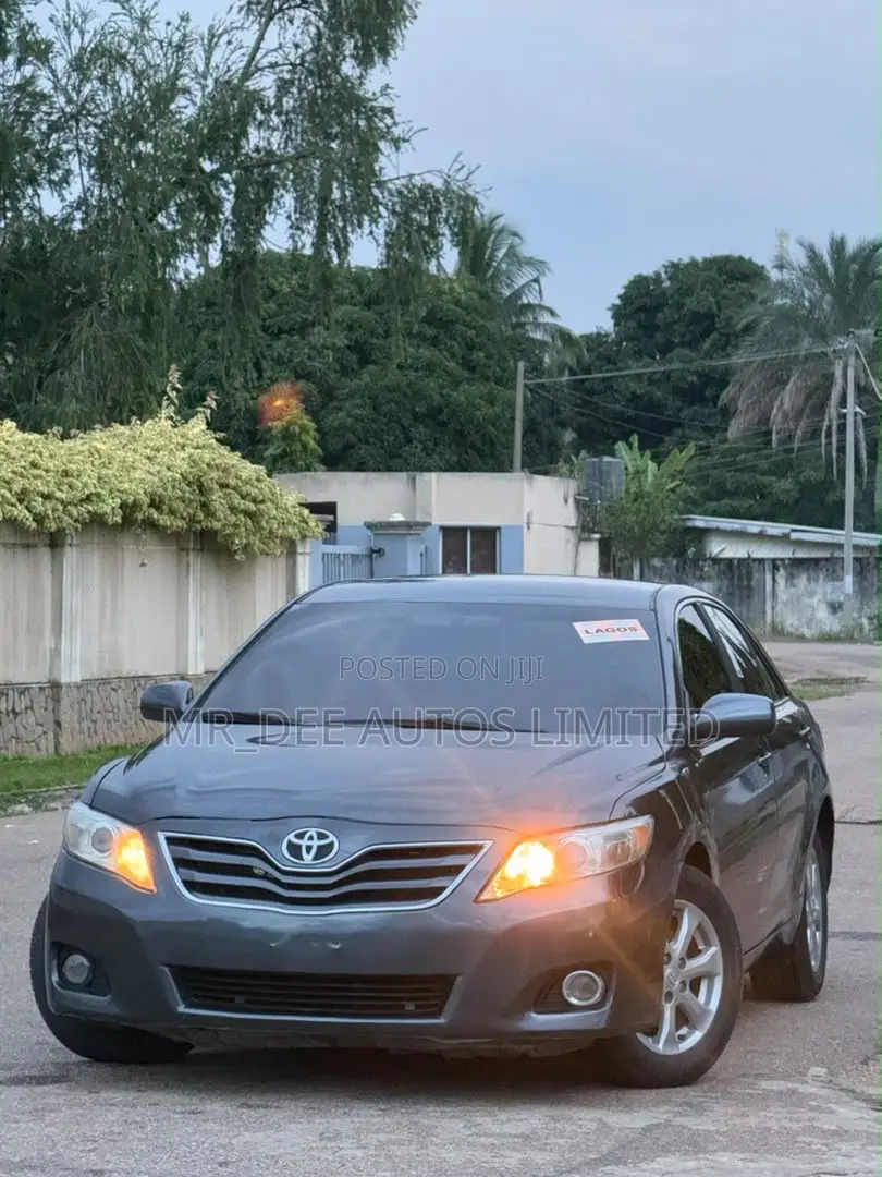 Toyota Camry 2010 Gray