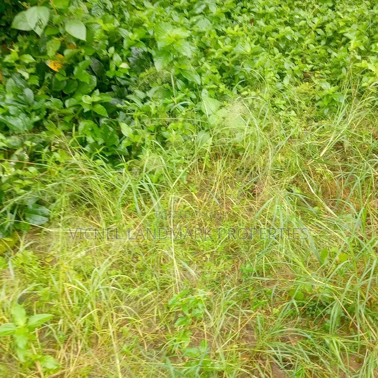 Apex Estates 2, Elikpokwodu/ Rukpokwu, Portharcourt Rivers State