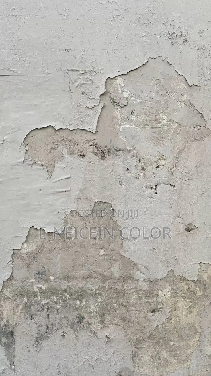 Painter Gudu