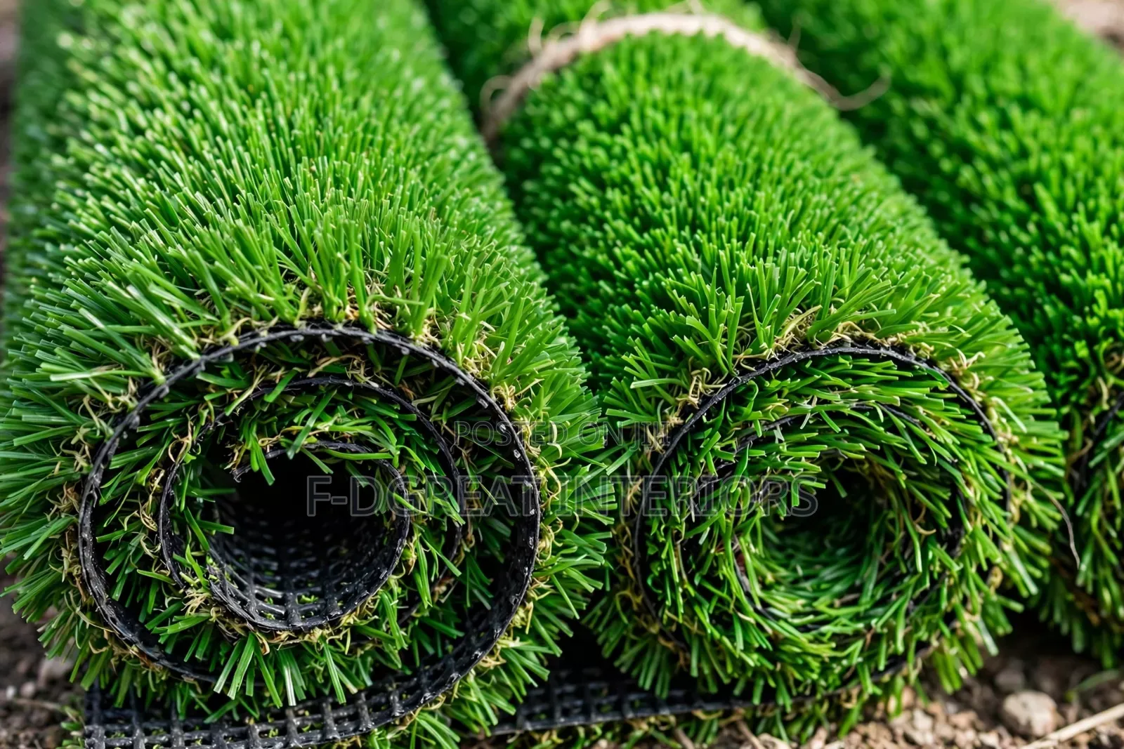 Carpet Grass Sold in SQM and Rolls