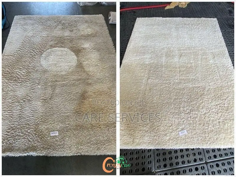 Professional Mattress / Rug Cleaning & Whitening