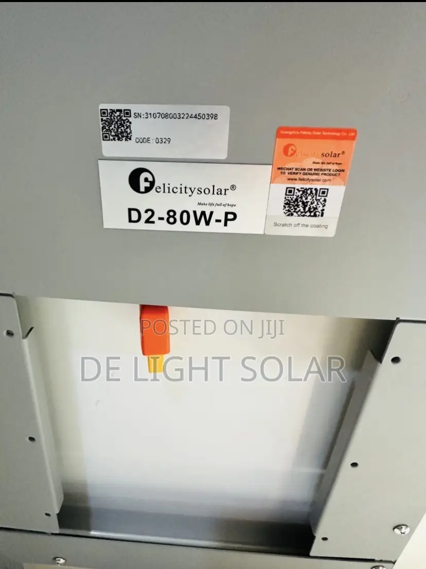 D2_80w Felicity Solar Street Lights