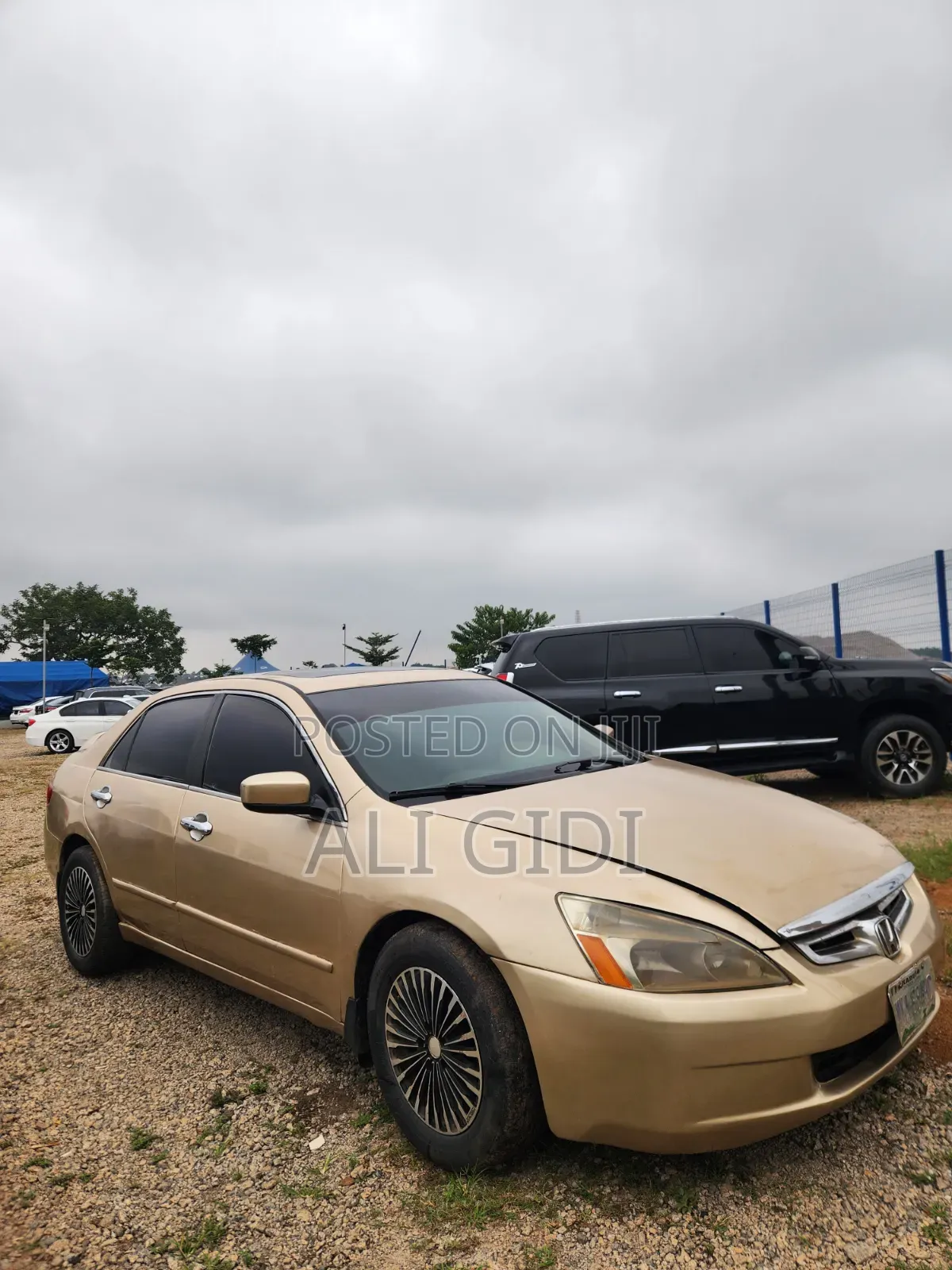Honda Accord 2004 Gold