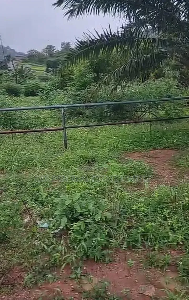 A Petrol Filling Station for Sale on 4 Plots of Land at Ikere EKiti .