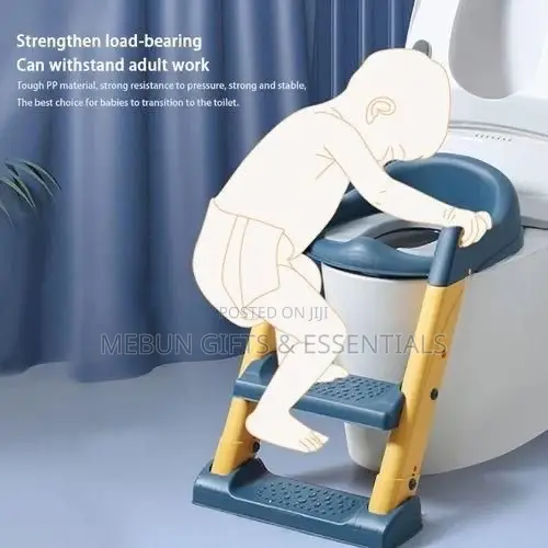 2 in 1 Foldable Toilet Potty With Ladder