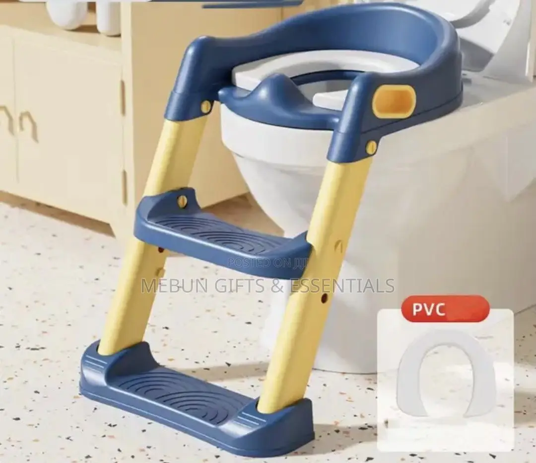 2 in 1 Foldable Toilet Potty With Ladder