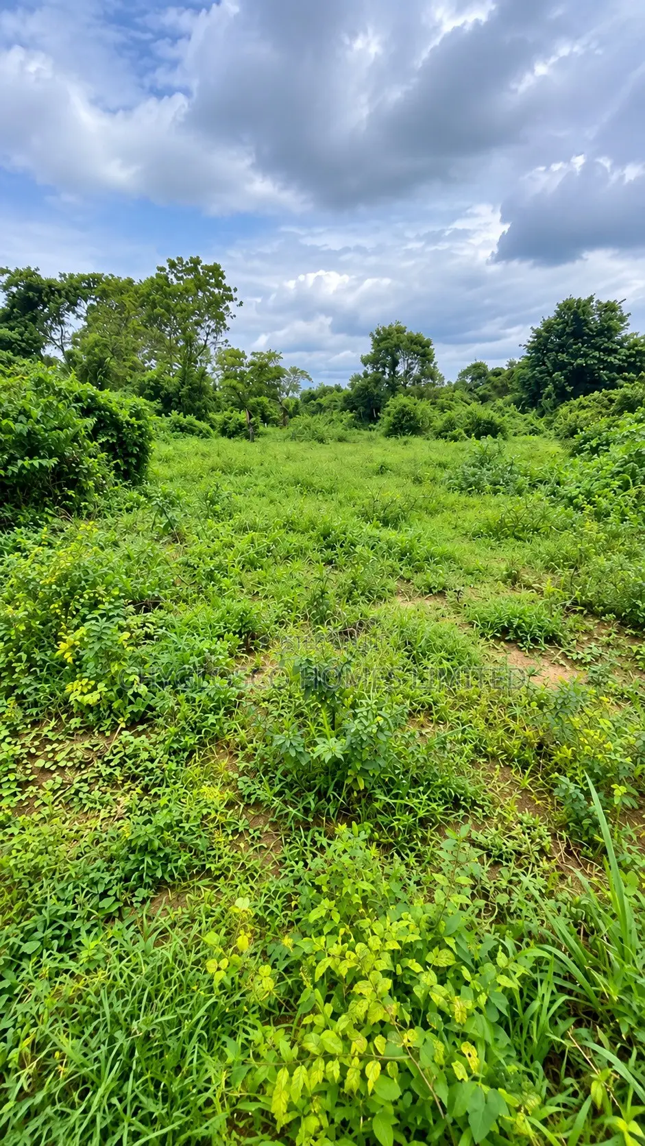 Plots of Land for Sale at Eastlake Gardens Igwuruta Ali Port Harcourt