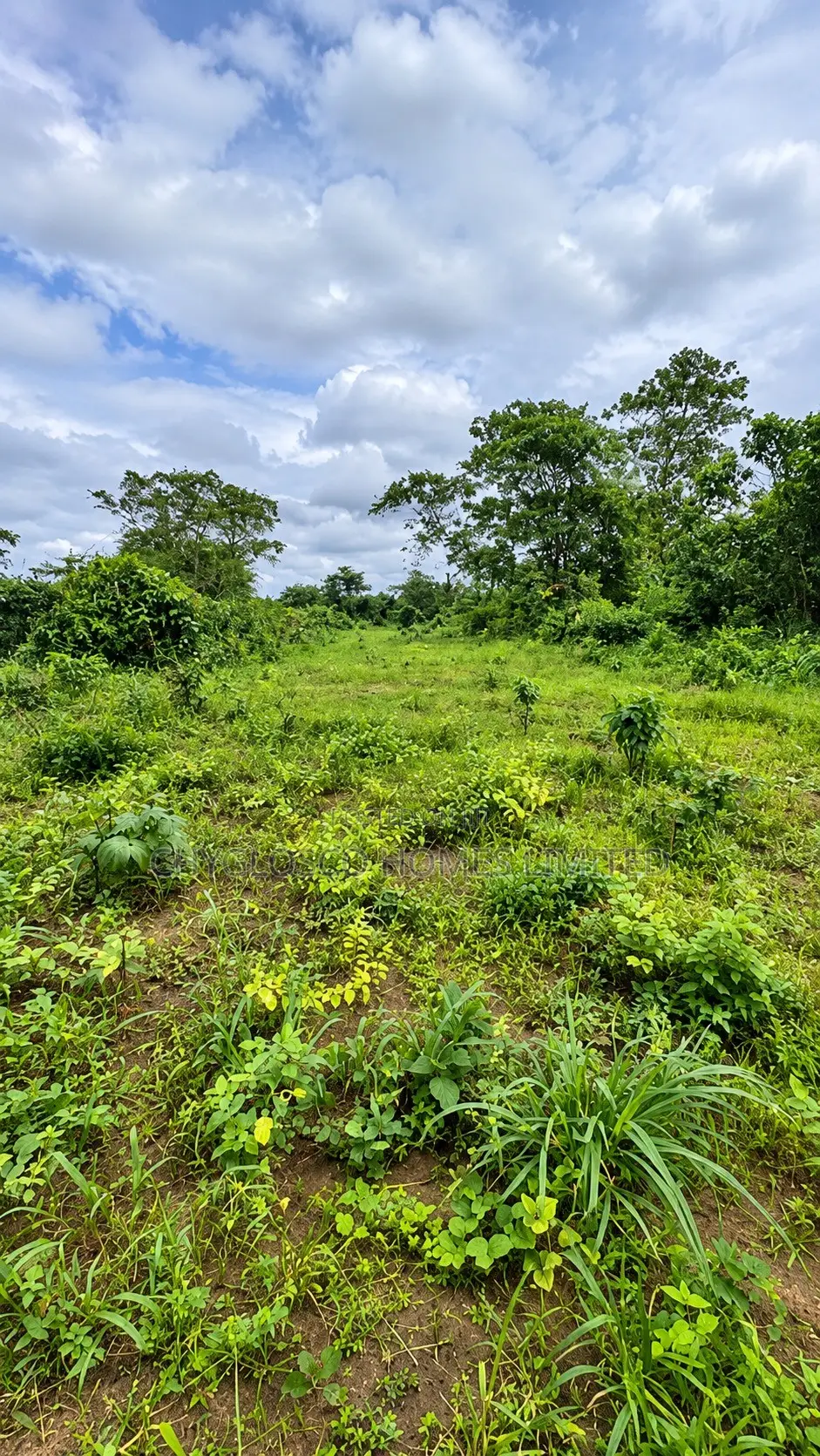 Plots of Land for Sale at Eastlake Gardens Igwuruta Ali Port Harcourt