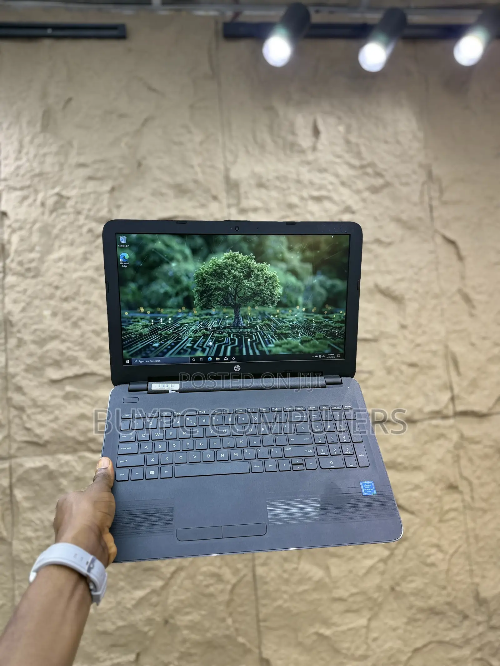 Laptop HP 15 4GB Intel Pentium HDD+SSD 500GB