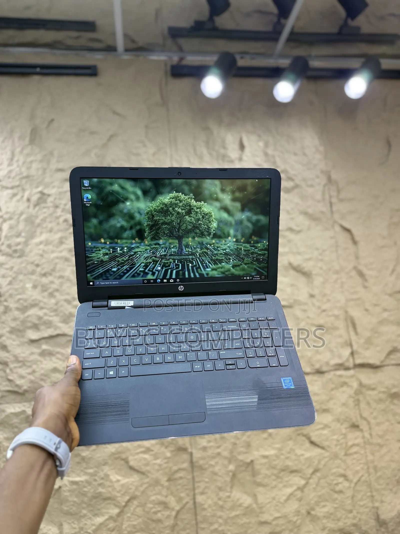 Laptop HP 15 4GB Intel Pentium HDD+SSD 500GB