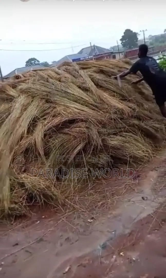 Thatch Grass, Materials