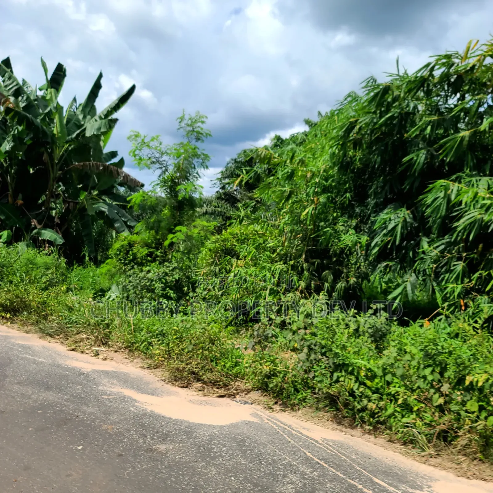 Plots of Land