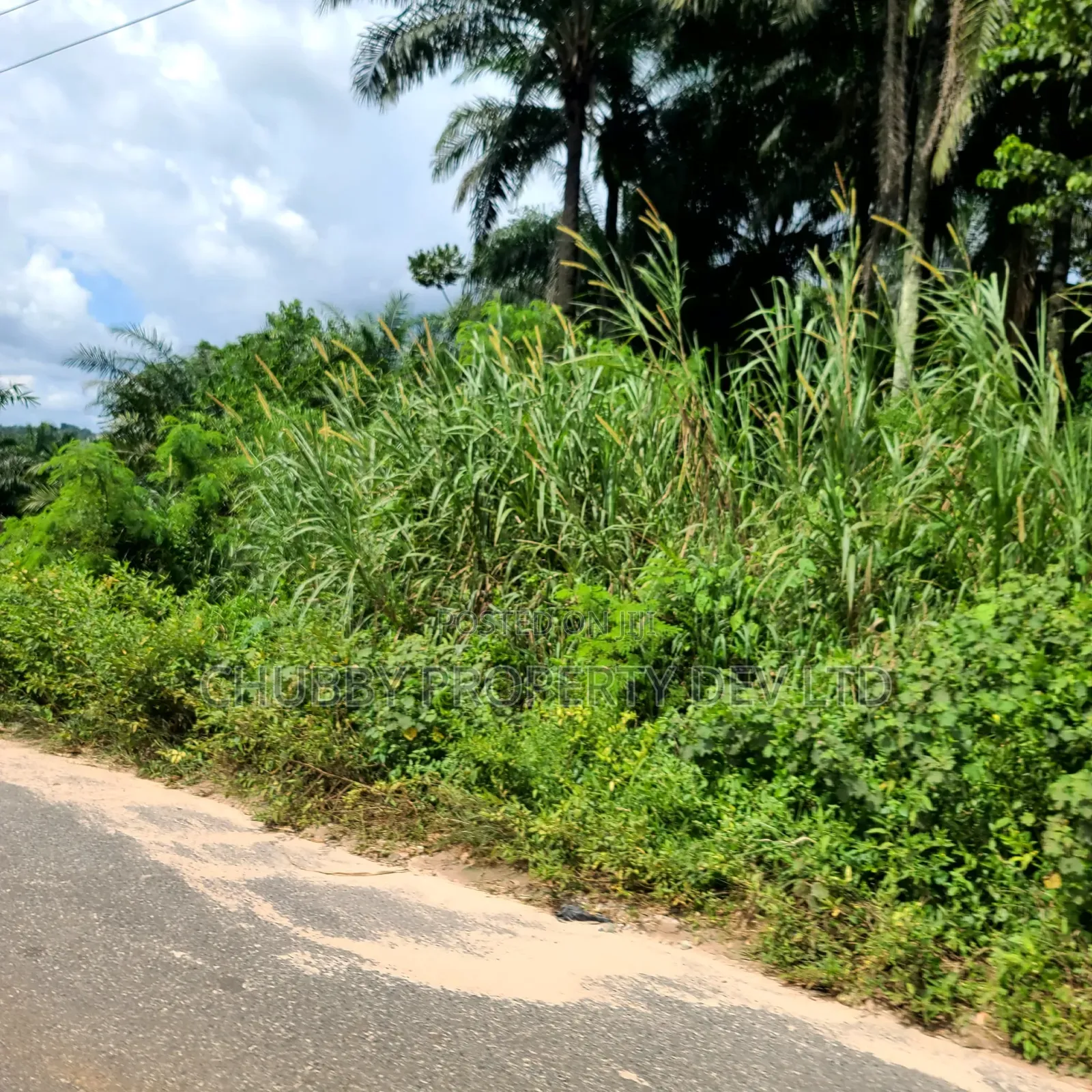 Plots of Land