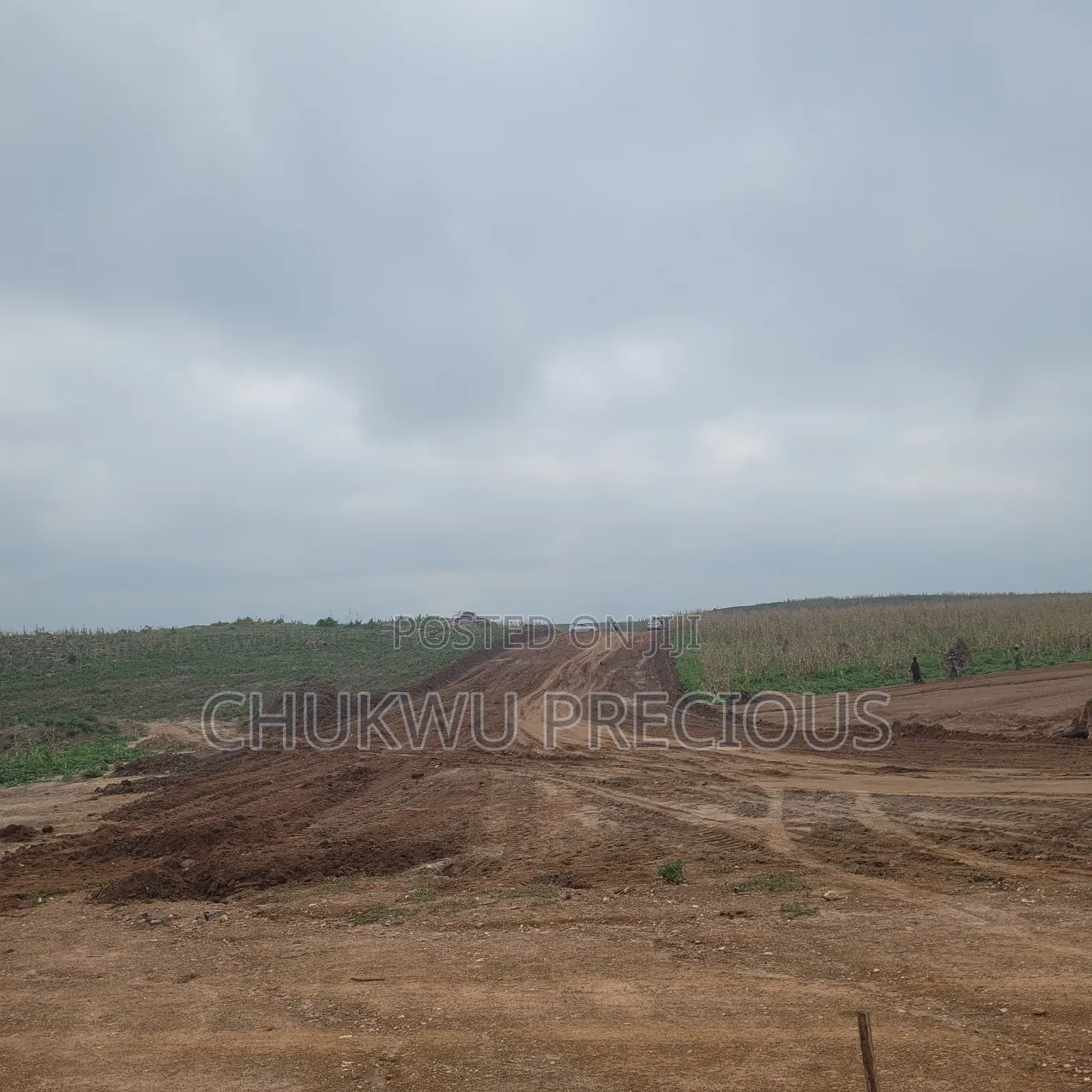 Sunrise Manor Hectare Outlay