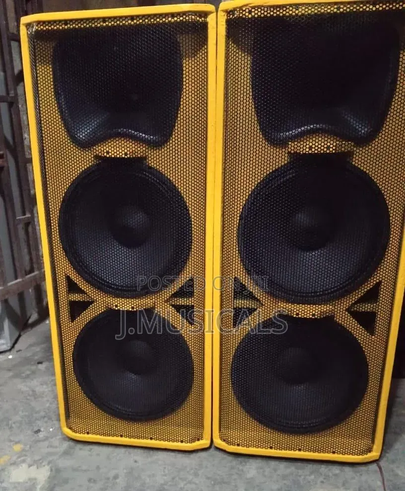 CUSTOM MADE 15 Inch Full Range Speakers (Pair/2)