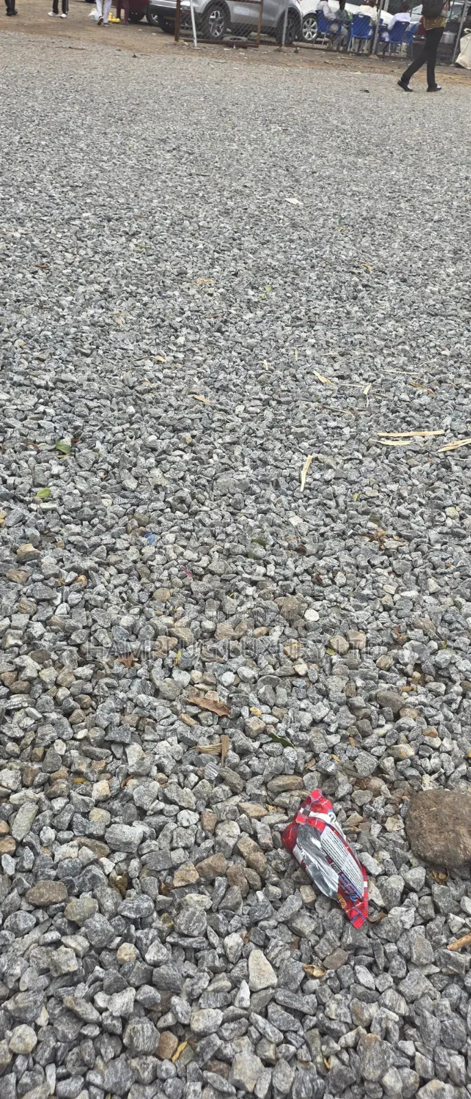 Mixed Land