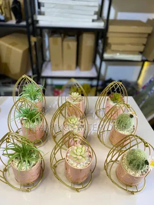 Flower for Home Decor