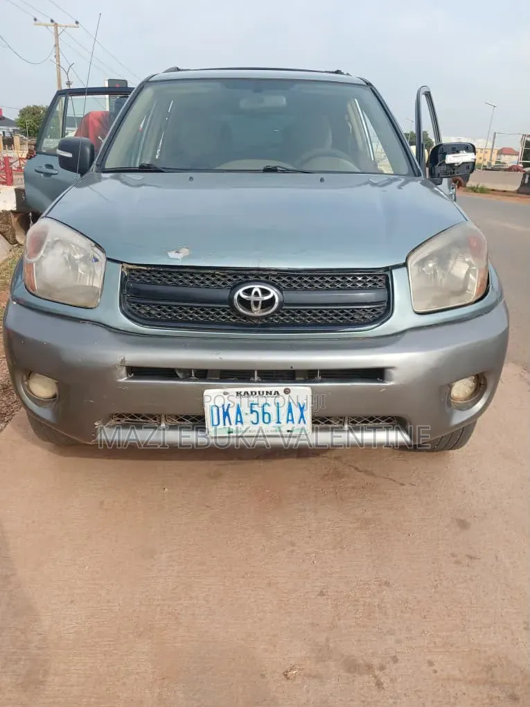 Toyota RAV4 2004 Gray
