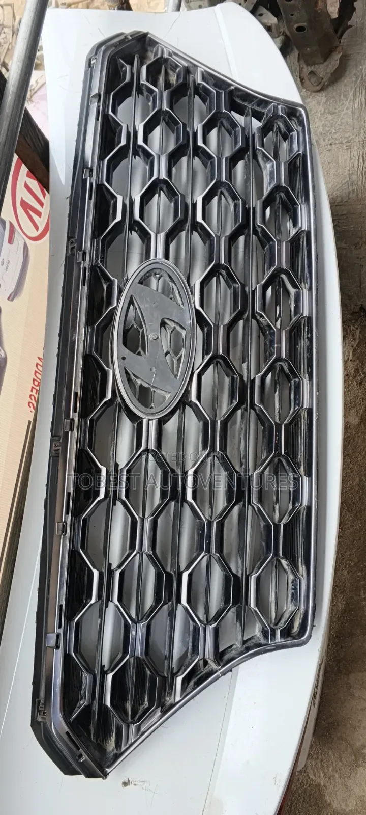 Hyundai Santa Fe 2020 Front Grill
