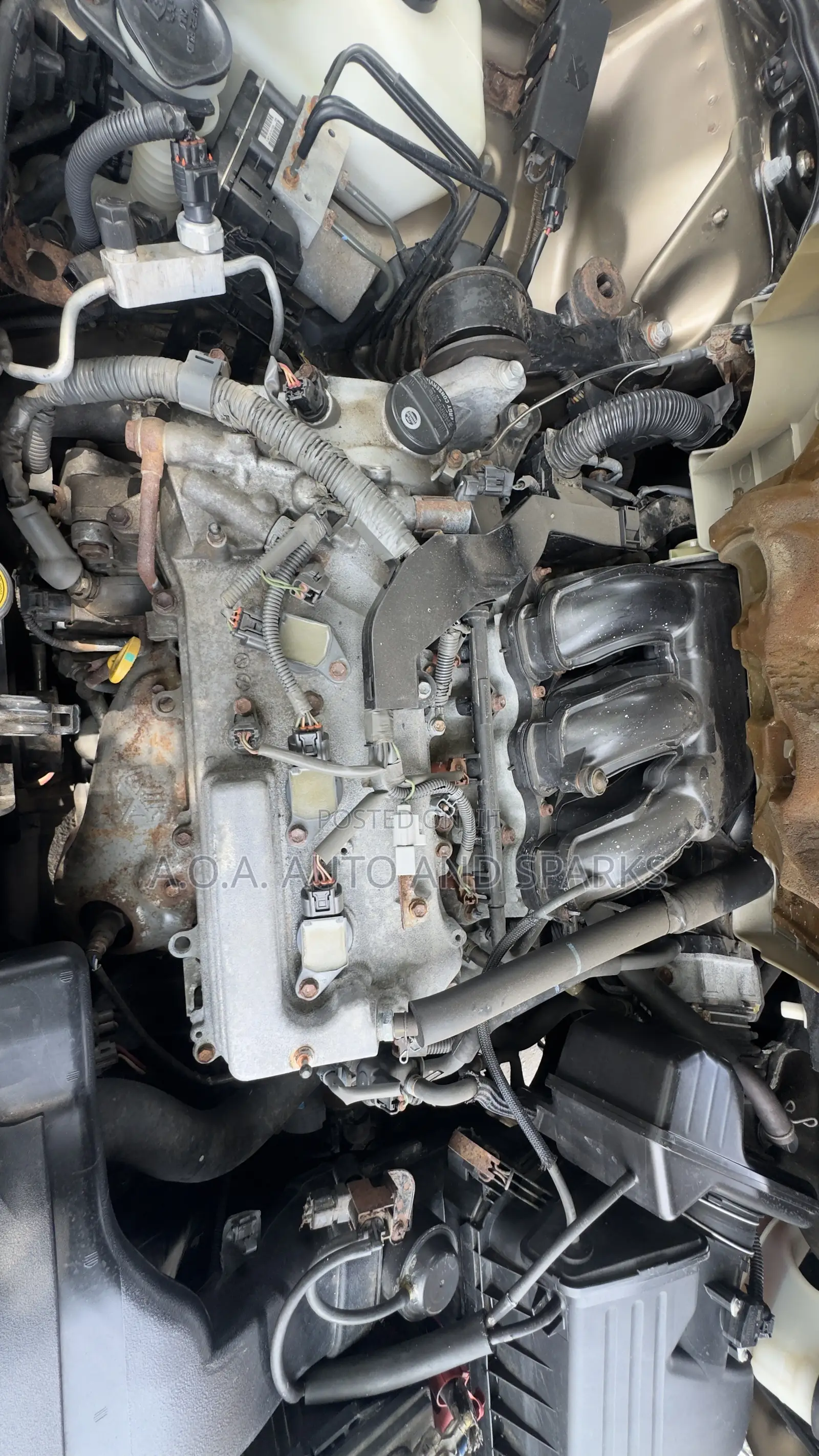 Toyota Venza 2011 Brown
