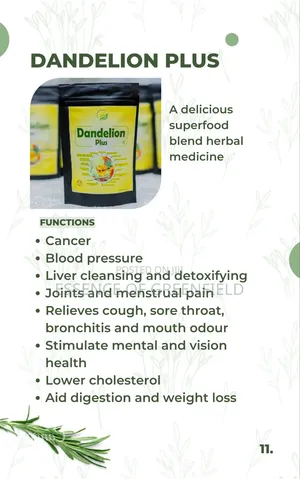 Dandelion Plus