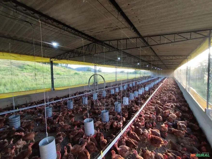 Poultry Construction/ Multipurpose Farm Construction