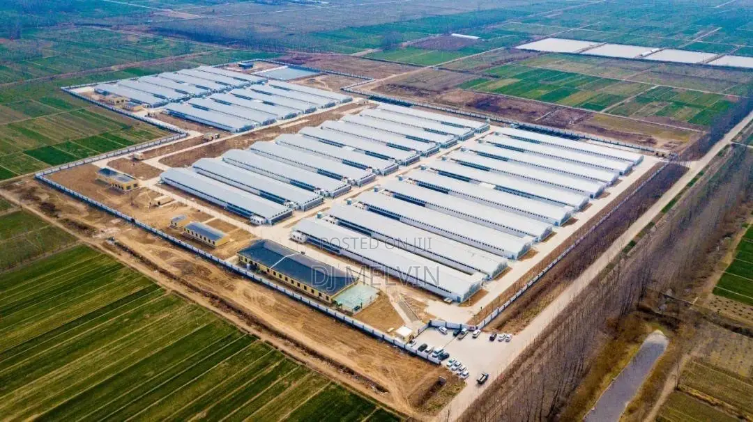 Poultry Construction/ Multipurpose Farm Construction