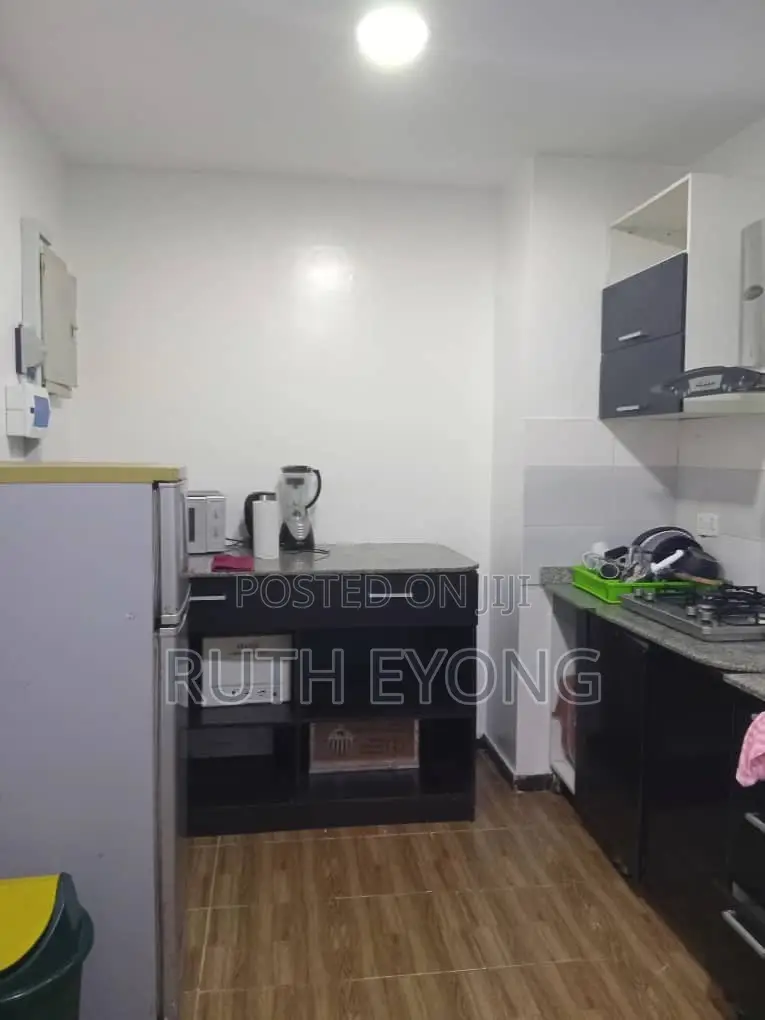 Furnished 3bdrm Apartment in Lekki Phase 1 for rent