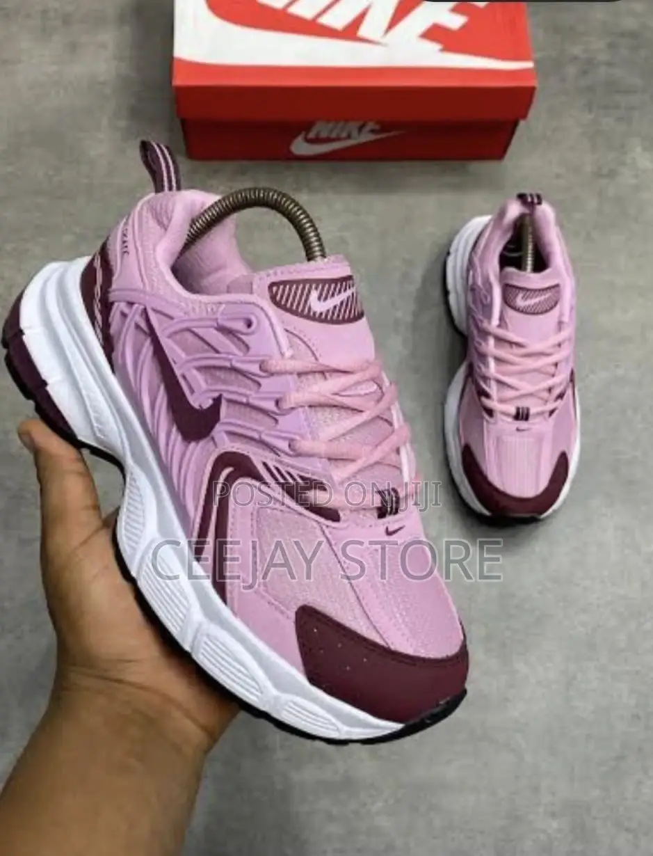 Classic Nike Skate V2 Retro Lifestyle Sneakers