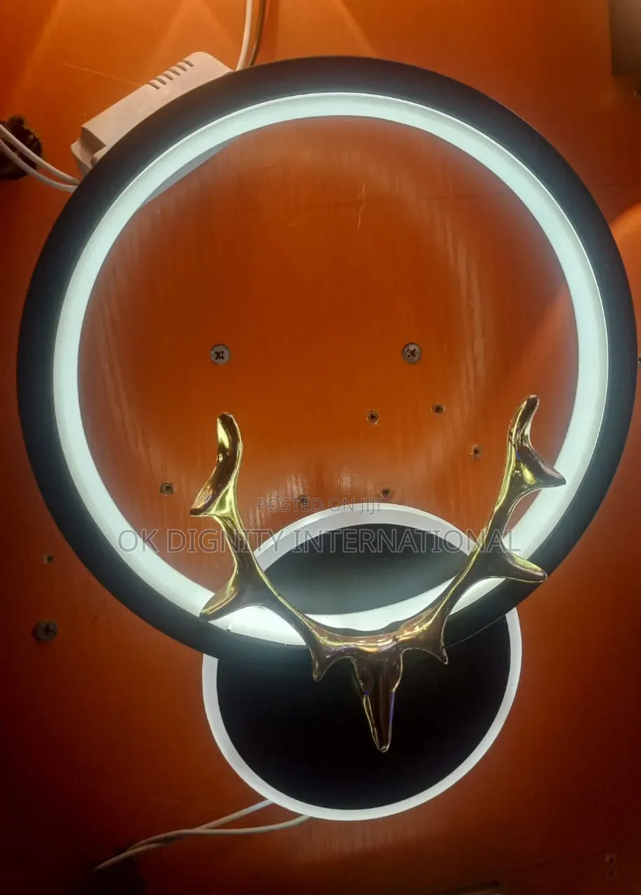Luxury Modern Gold /Black Wall Lamp