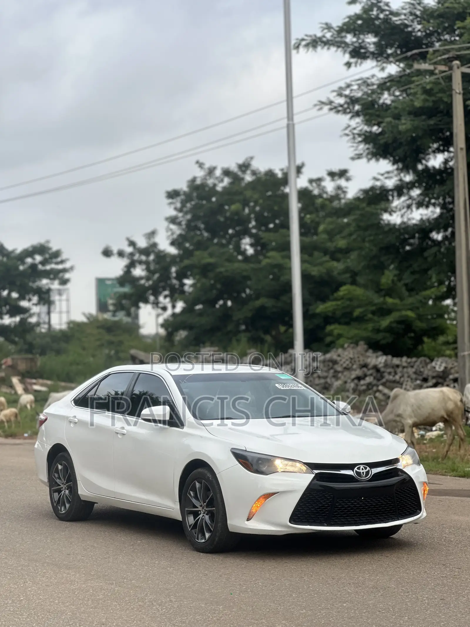 Toyota Camry XLE 4dr Sedan (2.5L 4cyl 6A) 2017 White