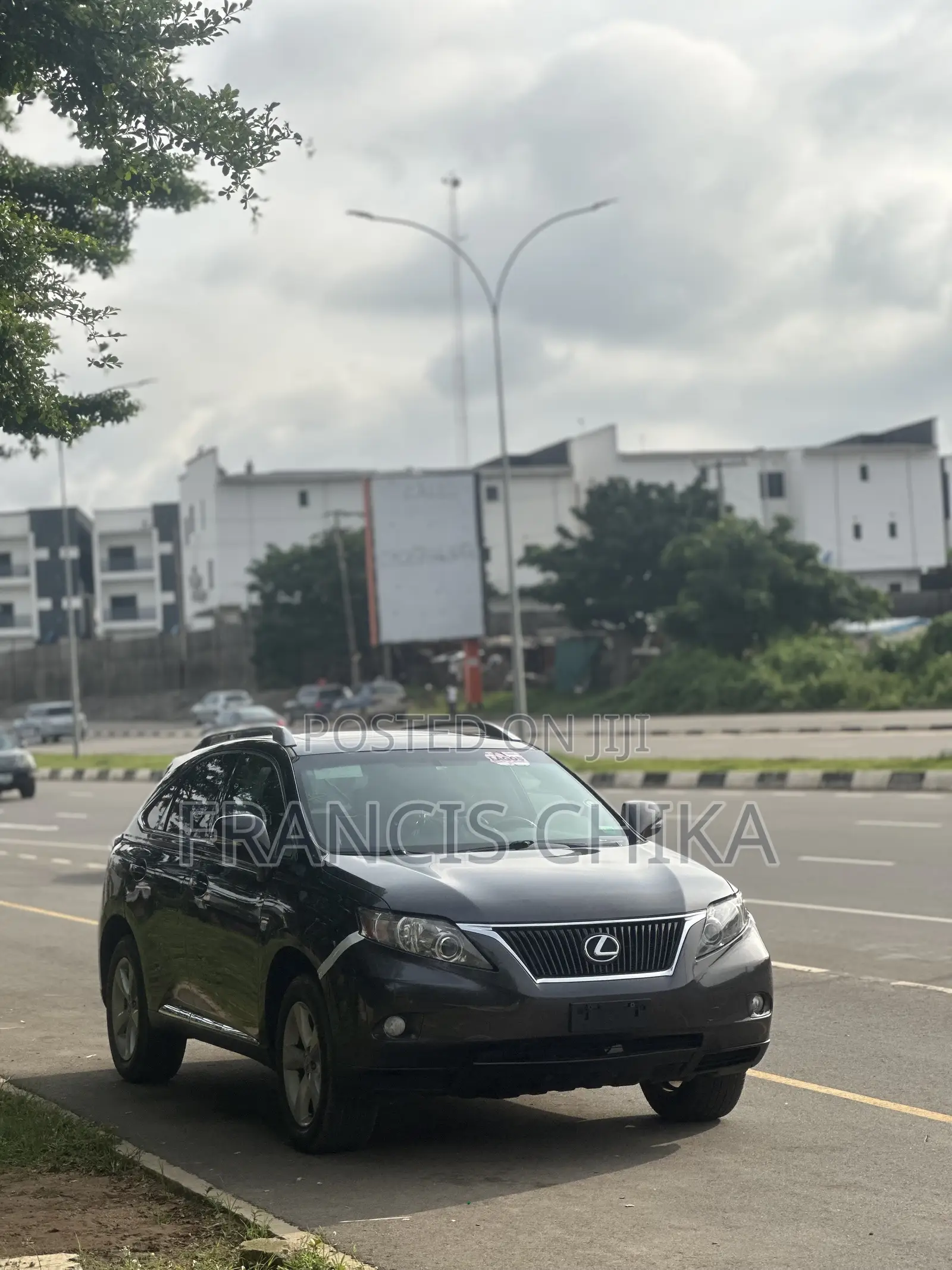 Lexus RX 2010 Gray