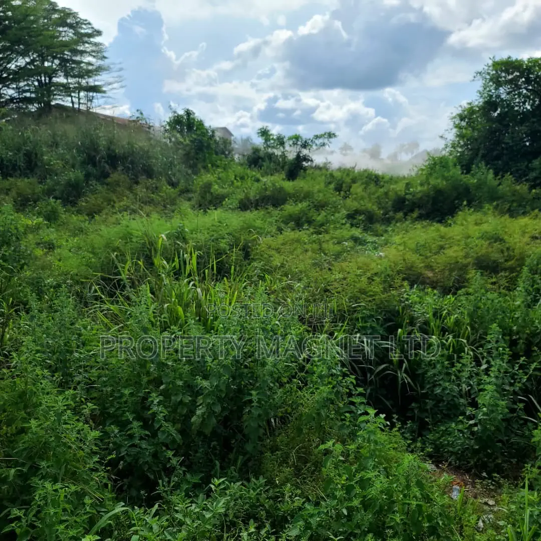 54 Plots for Sale Along Umuahia Express Tower