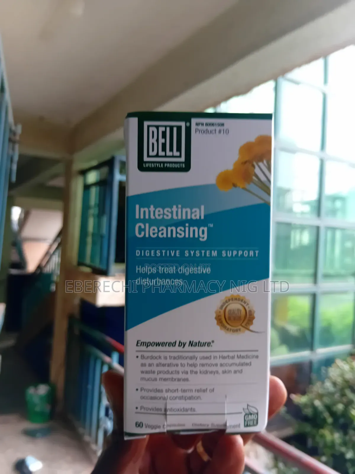 Intestinal Cleaning