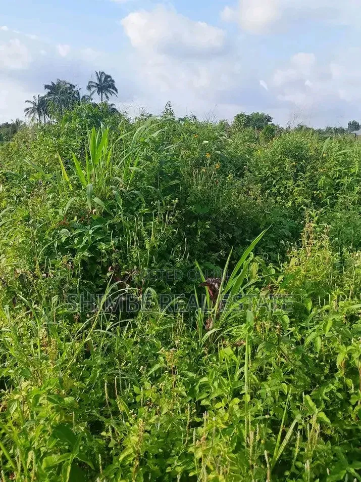 2Hectares of Land for Sale by Idu Uruan Ibom Hotels.