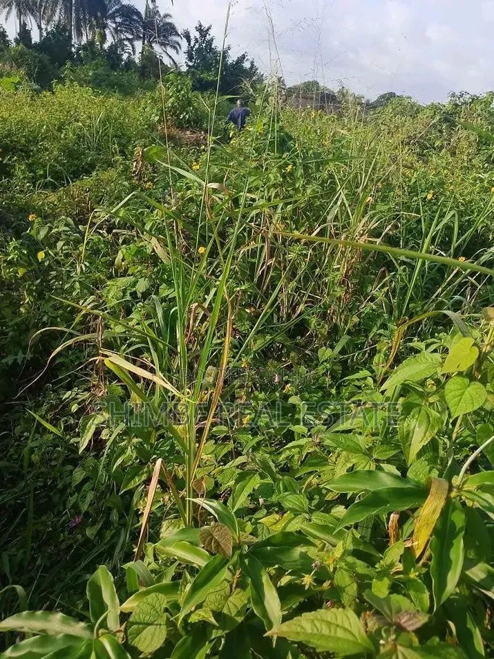 2Hectares of Land for Sale by Idu Uruan Ibom Hotels.