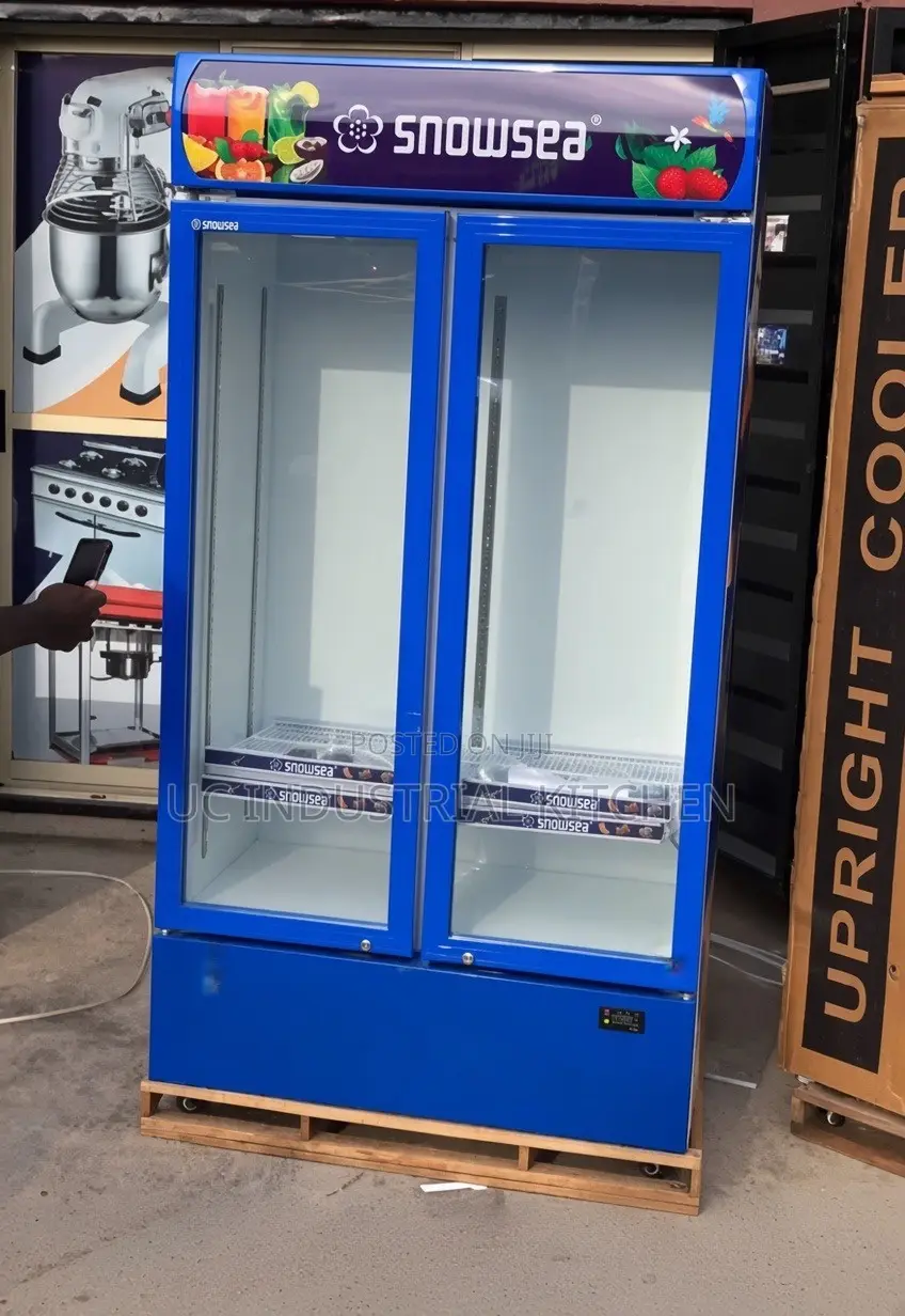 Double Door Display Chiller Snowsea