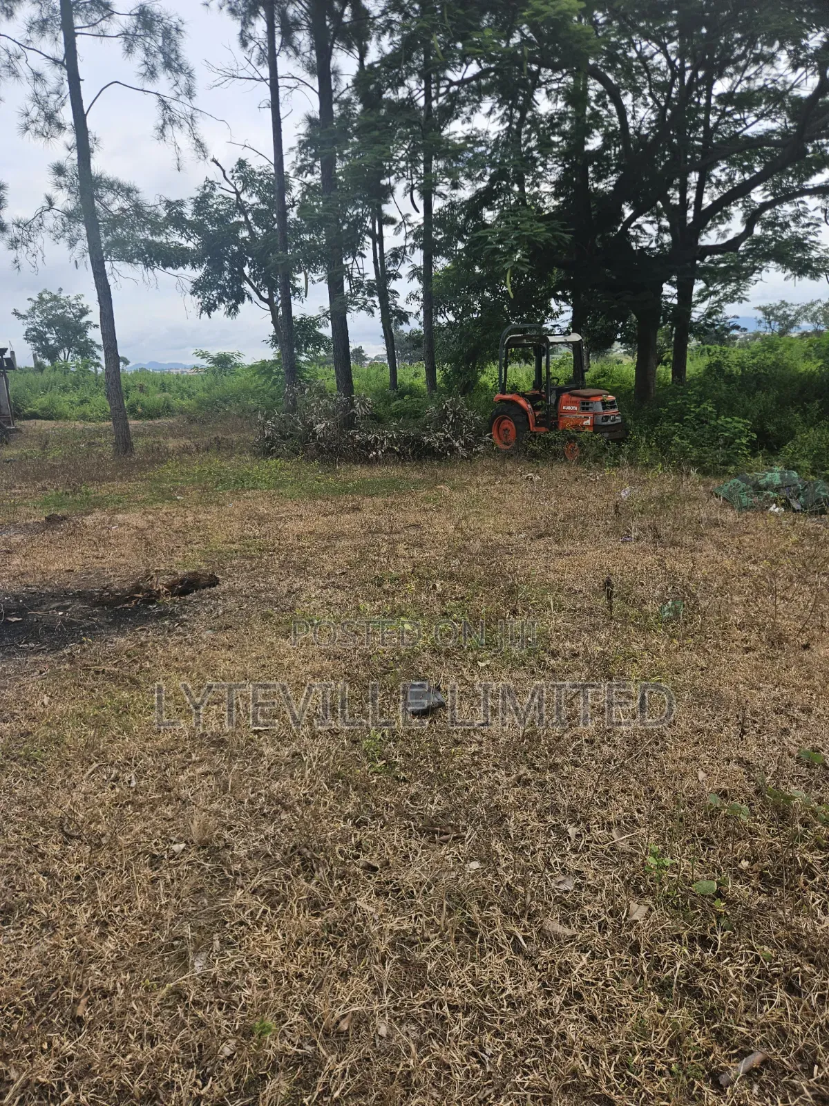 Joint Venture (JV) 12 Hectares Only