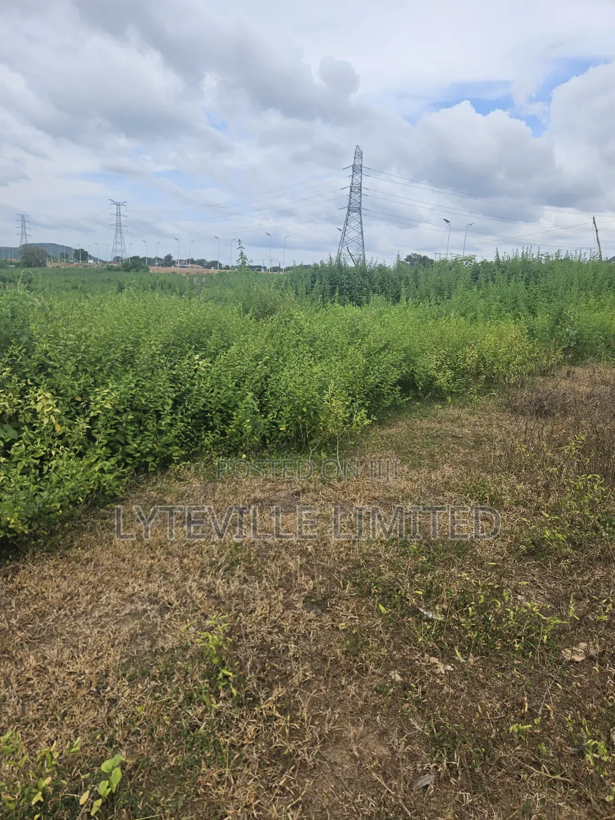 Joint Venture (JV) 12 Hectares Only