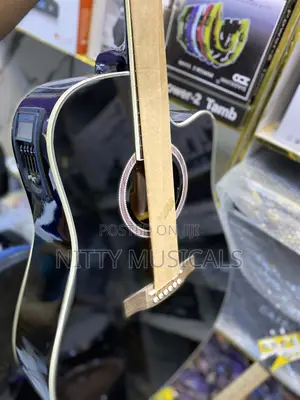 Electro Acoustic Guiter Classic Audio
