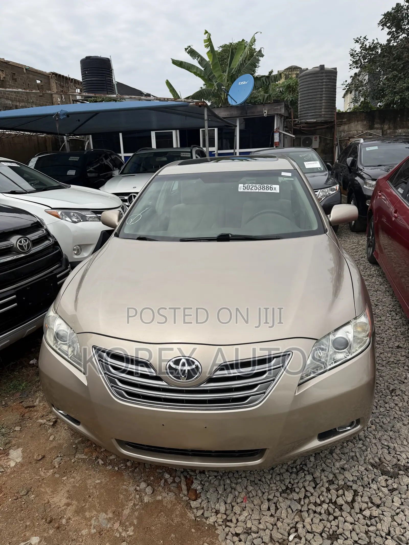 Toyota Camry 2.4 XLE 2008 Gold