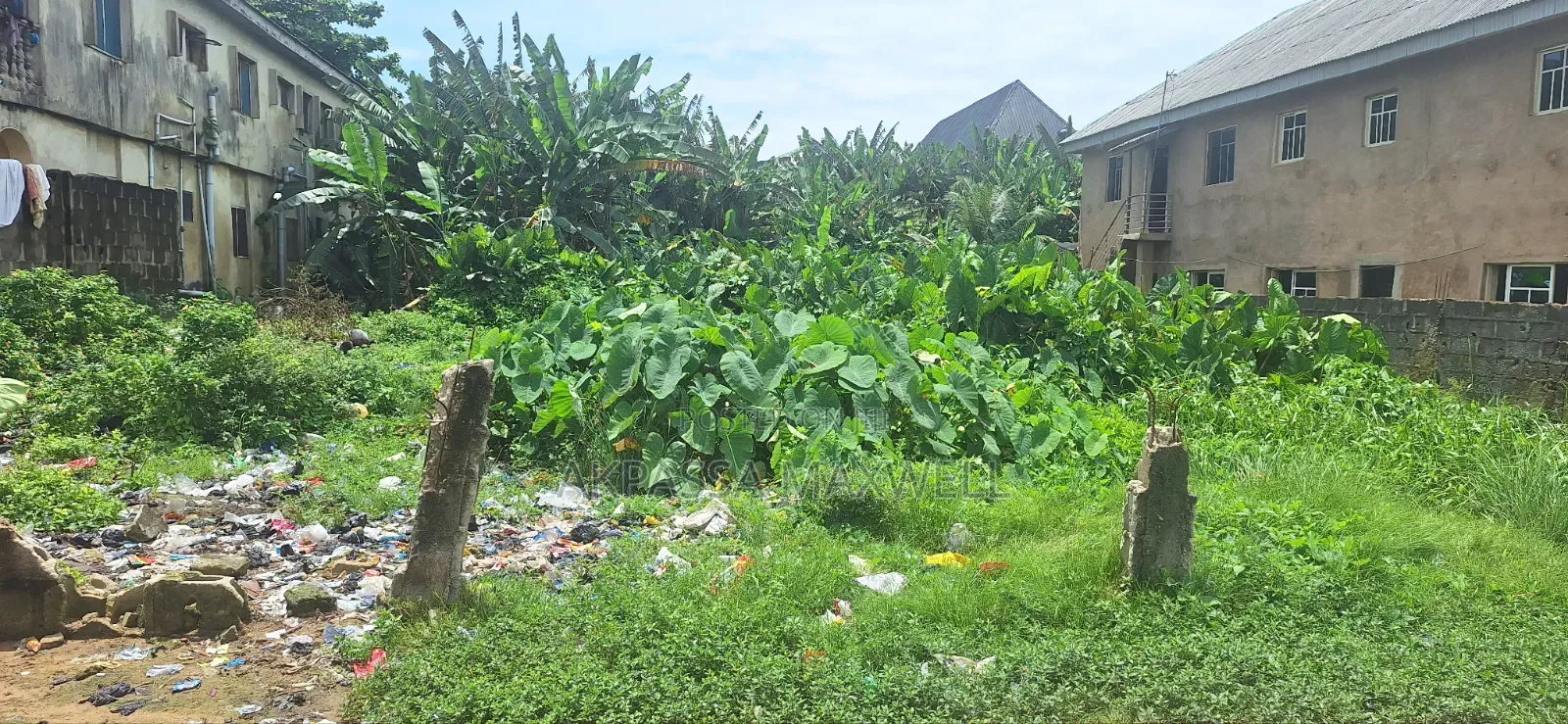 Full Plot of Land