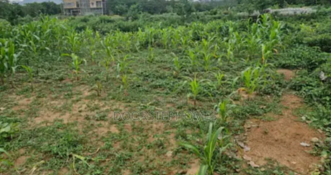 1781Sqm Residential Land for Sale in Wuye