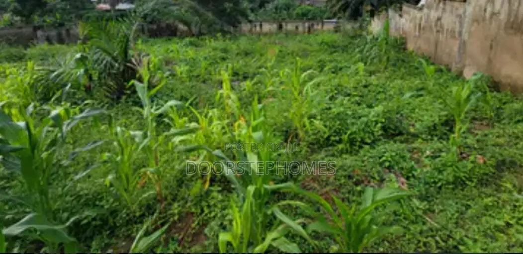 1781Sqm Residential Land for Sale in Wuye